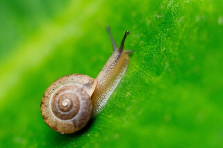 What if I'm too slow?
